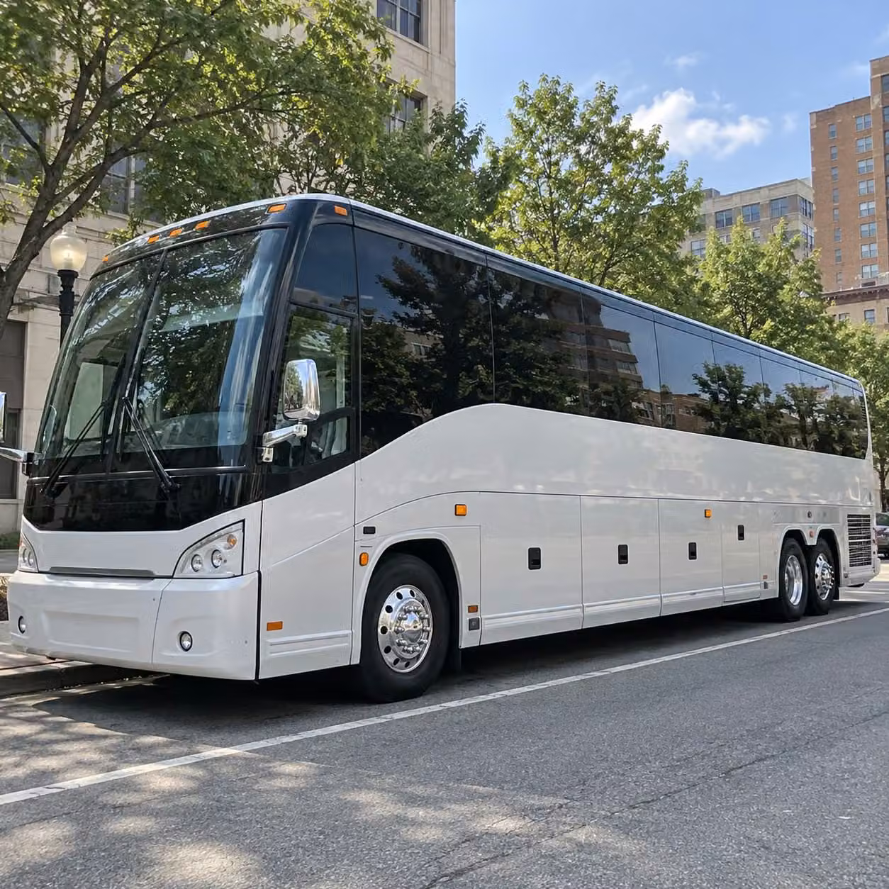 compare prom transportation options in raleigh and beyond