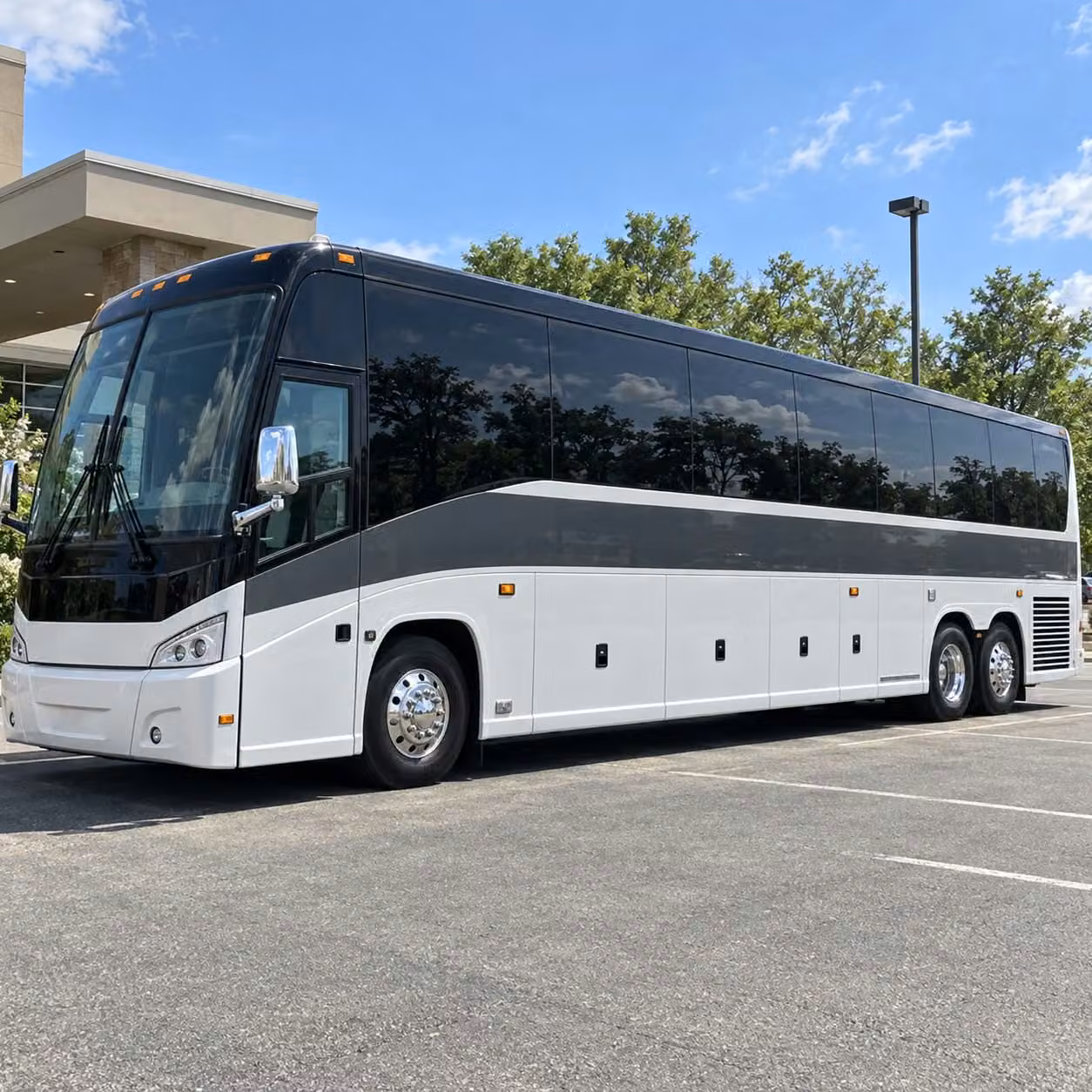 raleigh zoo aquarium and outdoor learning field trip transportation